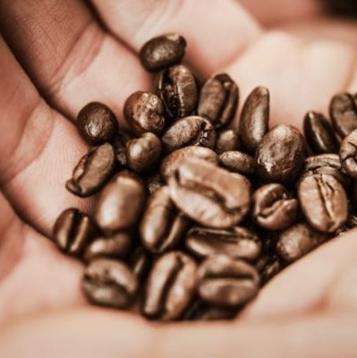 coffee beans in hand